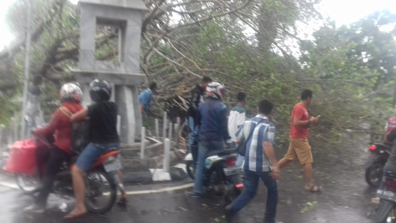 a1x Pohon Tumbang, M. Nasir S.Sos Kasubag Dinkes OKI Selamat
