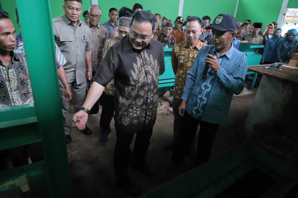 a2 Garap Industri Hulu Hilir Gambir, Dorong Peningkatan Kesejahteraan Masyarakat