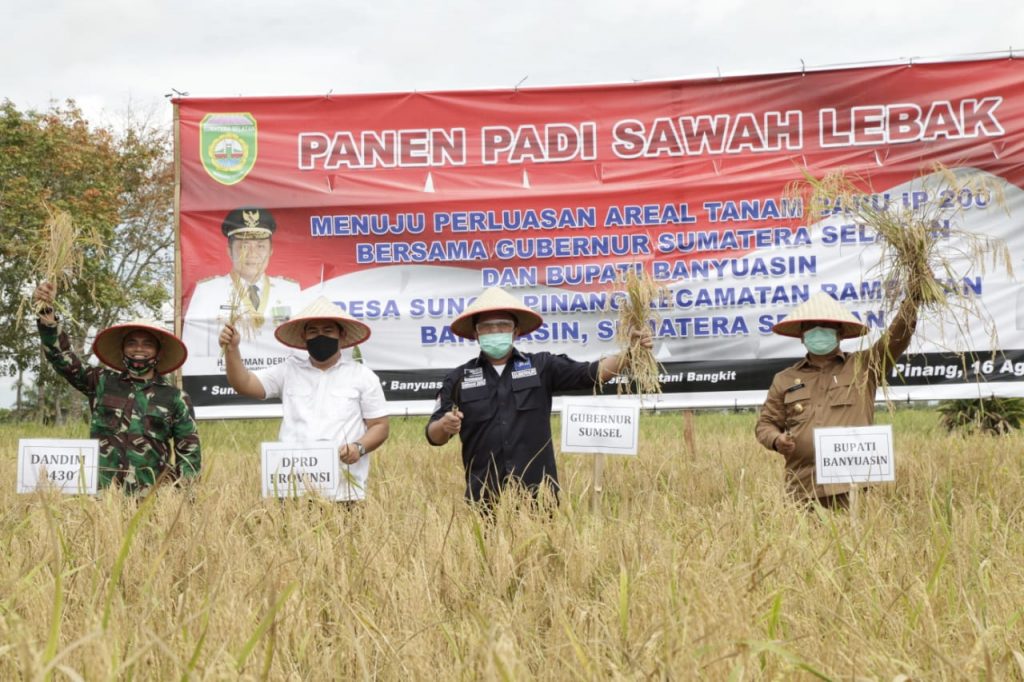 A2-1024x682 Bupati Banyuasin, Askolani Jasi: Kami Akui sejak Dibantu Gubernur Petani Panen Meningkat