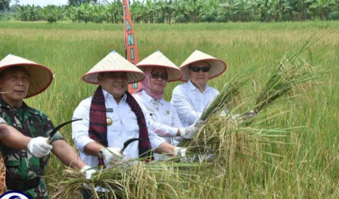 A2-7 Transformasi Pertanian, Bupati OI: Dapat Mengubah Pola Pertanian Tradisional Menjadi Modern