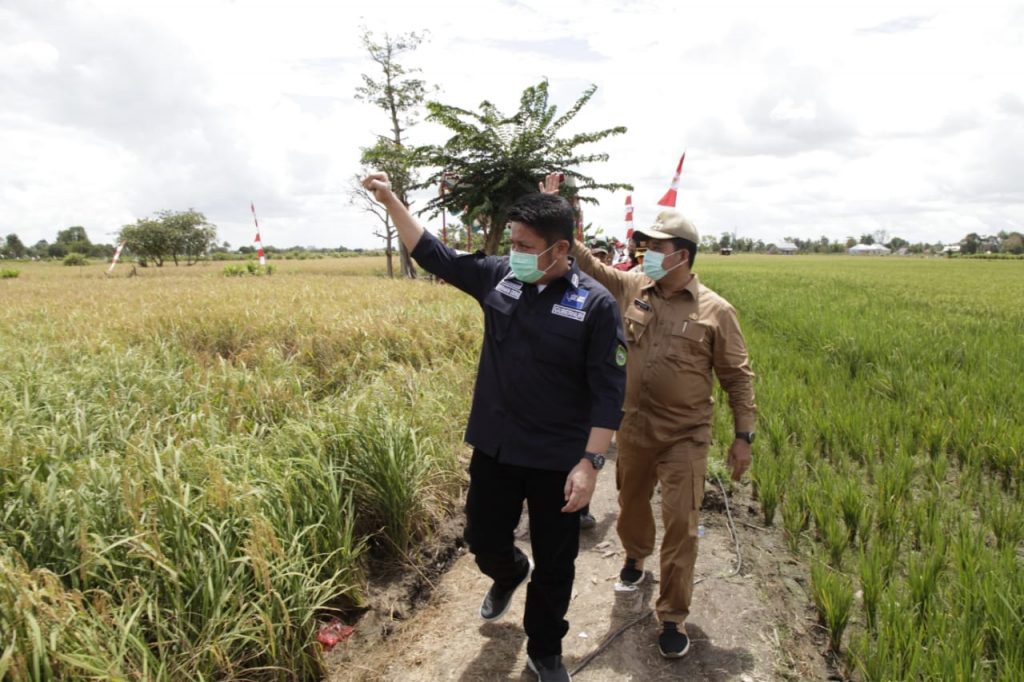 A3-1024x682 Bupati Banyuasin, Askolani Jasi: Kami Akui sejak Dibantu Gubernur Petani Panen Meningkat