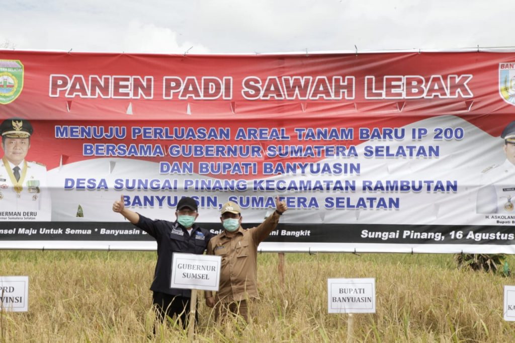 A4-1024x682 Bupati Banyuasin, Askolani Jasi: Kami Akui sejak Dibantu Gubernur Petani Panen Meningkat
