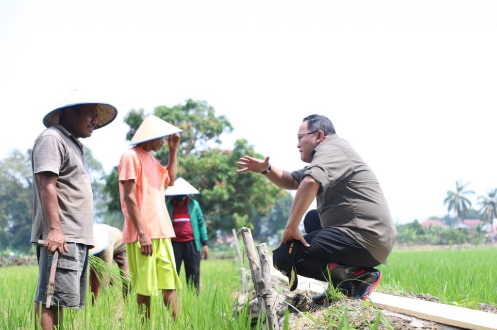 A6-2-1024x681 Tahun 2021 Dodi Reza Bangun Taman Rekreasi Sawah