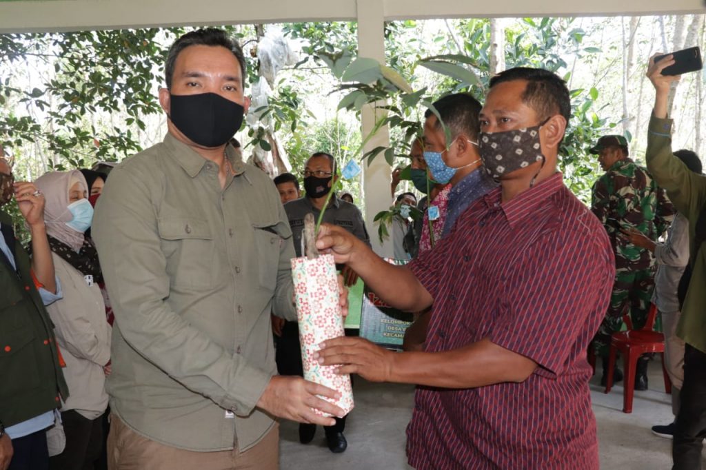 a1-10-1024x682 Kelompok Tani Karet Babat Toman Terima 15.000 Batang Bibit Karet