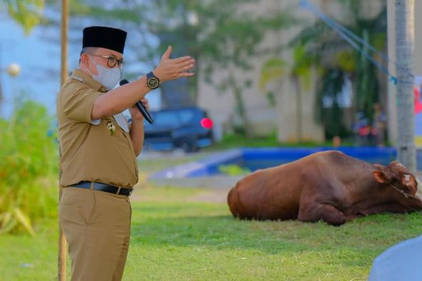 A1 Bupati Dodi Reza Sebar Puluhan Hewan Kurban untuk Warga Muba