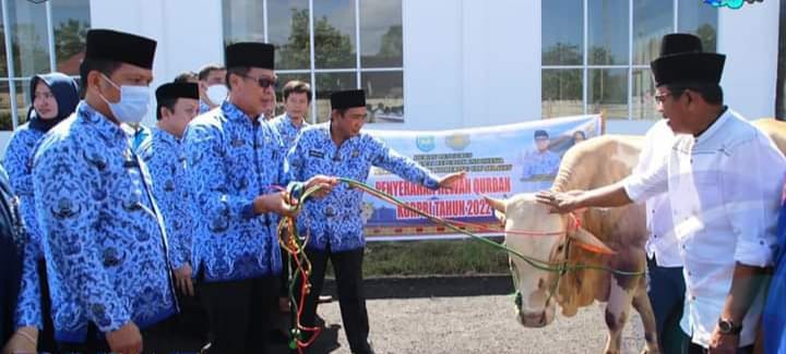 IMG-20220708-WA0108 KORPRI OKU Selatan Serahkan Dua Sapi Kurban ke Pengurus Masjid Agung Al-Muhtadin