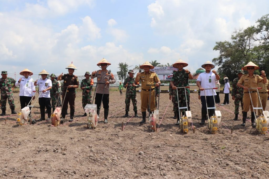 a2-2-1024x682 Forkopimda Keroyokan Jaga Ketahanan Pangan di Muba