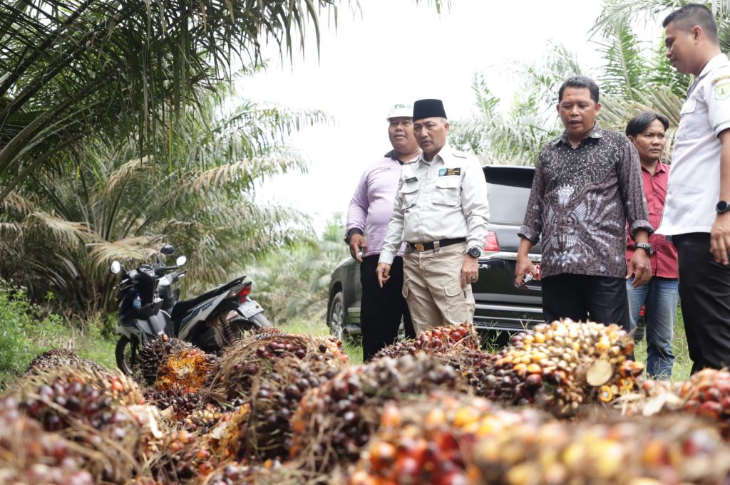 IMG-20220907-WA0071-1024x681 Pemkab Muba Dorong Pengembangan Ekonomi Masyarakat Melalui Sektor Komoditi