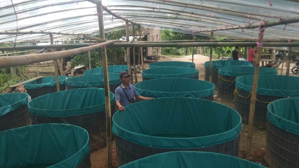 B1-1024x576 Ketahanan Pangan di Srimenanti, Tabur Benih Lele dengan Sistem Bioflok