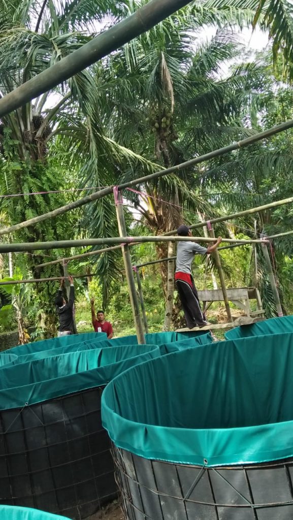 B3-577x1024 Ketahanan Pangan di Srimenanti, Tabur Benih Lele dengan Sistem Bioflok