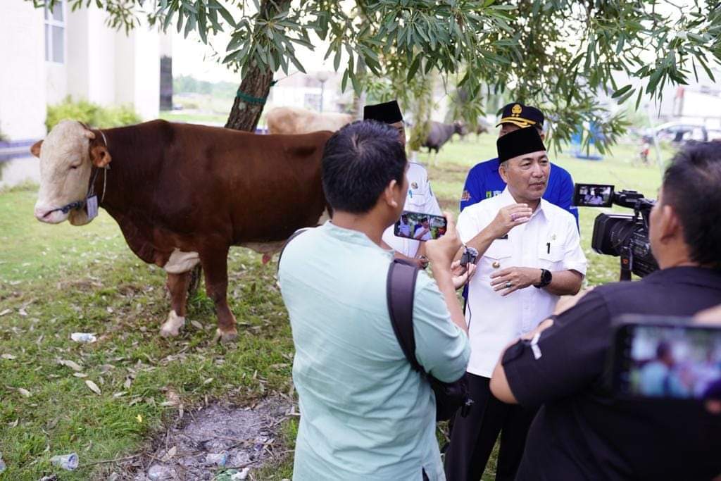 FB_IMG_1688009577964 Salurkan Bantuan Hewan Kurban Sapi Limosin dan Brahman di Muba
