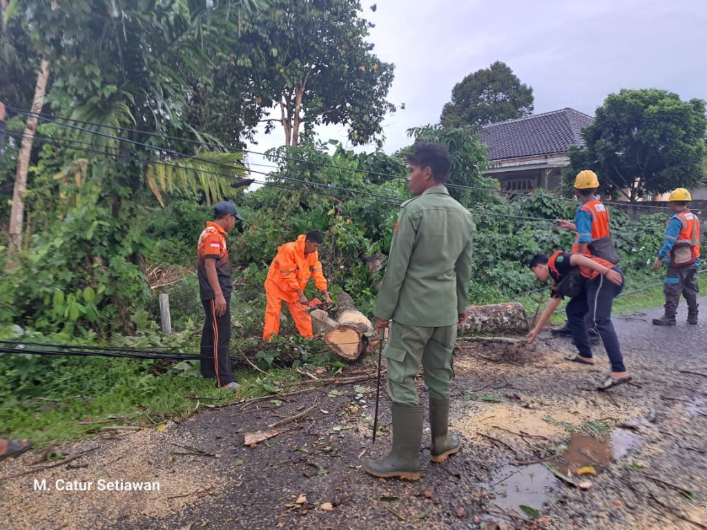 IMG-20230709-WA0055-1024x768 Sempat Ganggu Lalin, BPBD Muba Evakuasi Pohon Tumbang