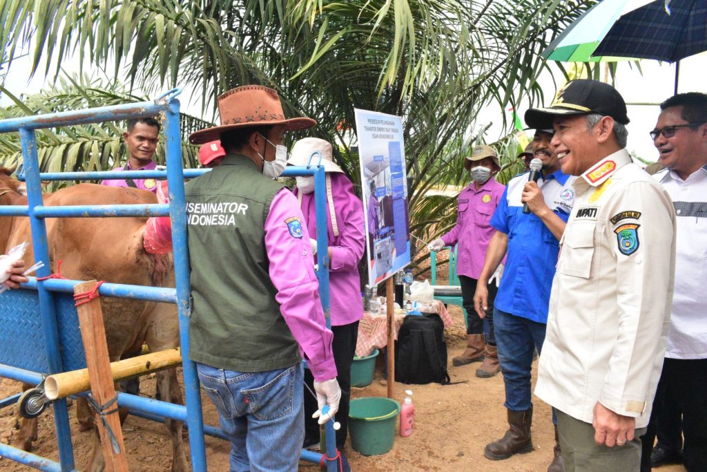 B4-2-1024x683 Transfer Embrio (TE) Upaya Pemkab OKI Tingkatkan Kualitas Bibit Ternak Sapi