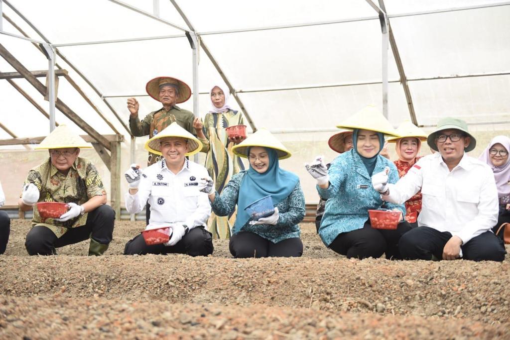 IMG-20231104-WA0087 Atasi Inflasi, Pj Gubernur Sumsel Agus Fatoni Tanam Bawang di OKU
