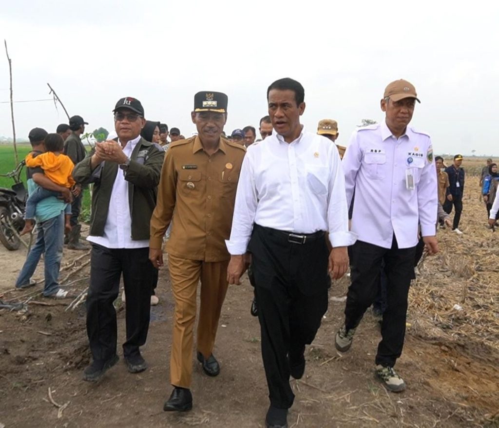IMG-20231114-WA0061-1024x878 Dongkrak Produksi Padi Nasional, Mentan Optimalkan Lahan Rawa di OKI