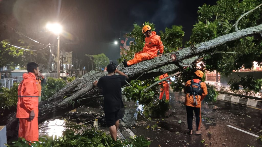 IMG-20240209-WA0023-1024x576 Gerak Cepat BPBD Muba Evakuasi Pohon Tumbang di Sekayu