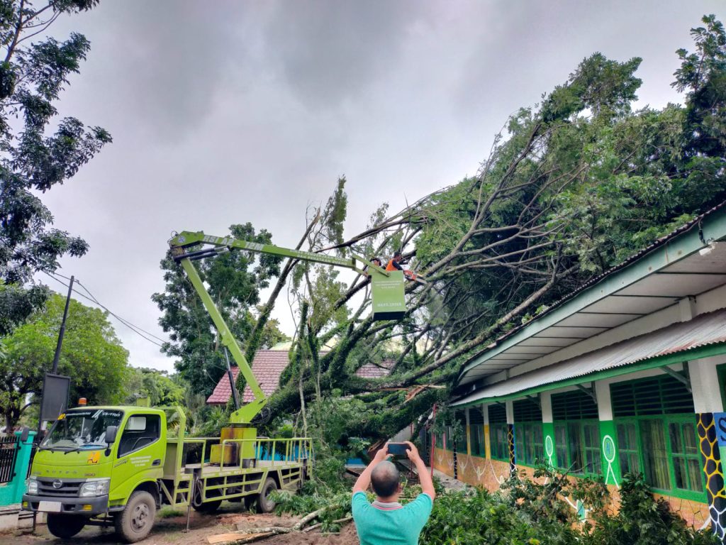 IMG-20240209-WA0078-1024x768 Kolaborasi TIM Sinergi Bersama Evakuasi Satu Pohon Besar Tumbang dan Kabel Listrik di Samping Masjid Jami'anur