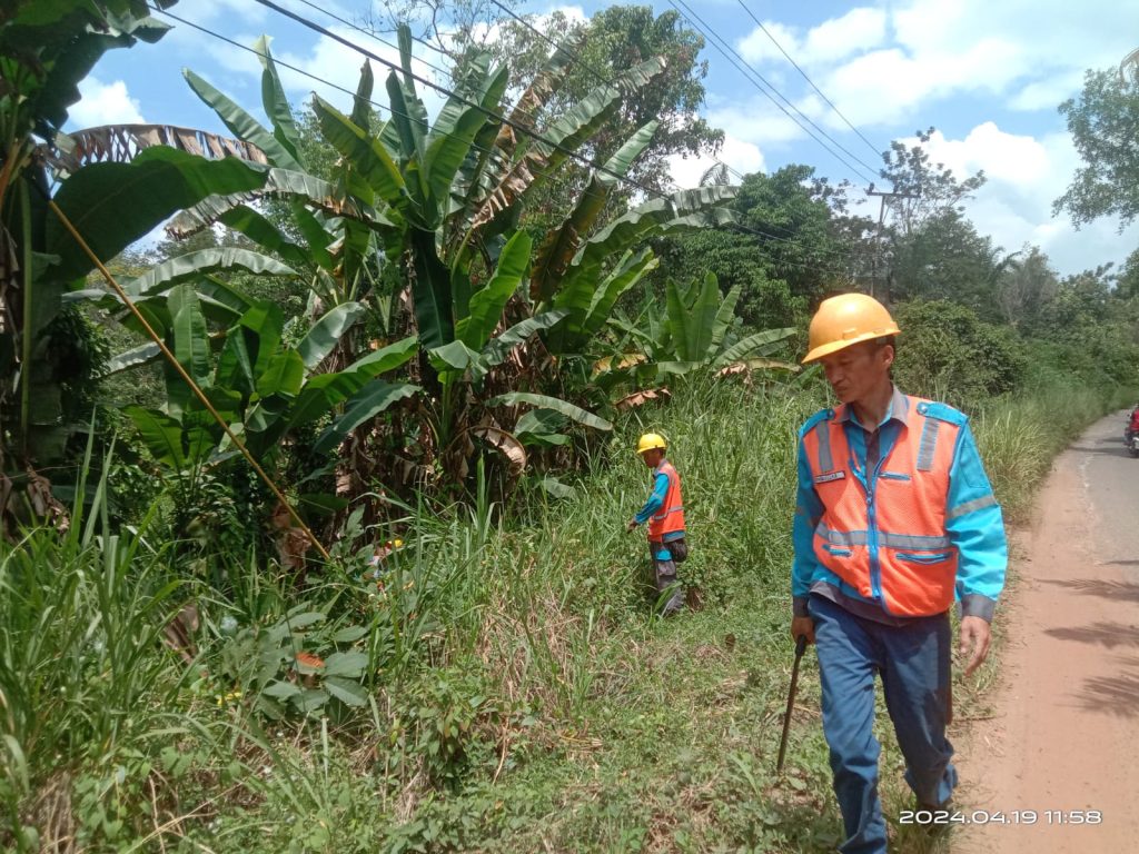 IMG-20240422-WA0095-1024x768 Cegah Pemadaman, PLN Baturaja Pangkas  Ranting Pohon