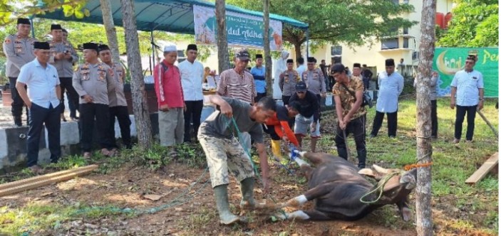 IMG-20240617-WA0116 Idul Adha 1445 H, Polres OKU Lakukan Pemotongan Hewan Kurban