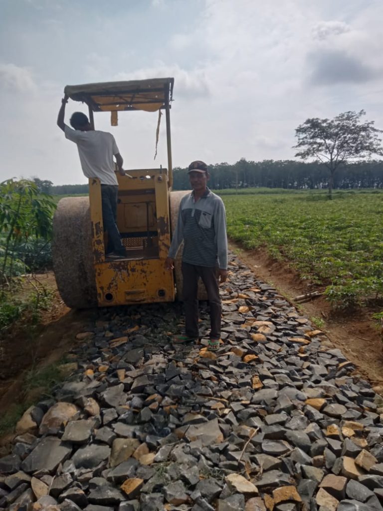 C2-768x1024 Wujudkan Ketahanan Pangan, Desa Karya Sakti Bangun Jalan dan Gorong-gorong