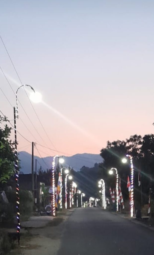 IMG-20240816-WA0027-619x1024 Pemdes Realiasikan Lampu Jalan, Kades Suherman: Warga Desa Rantau Nipis Senang