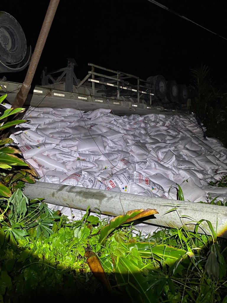 d2-768x1024 Truk Pupuk Tabrak Tiang, Aliran Listrik di Wilayah Ini Alami Gangguan