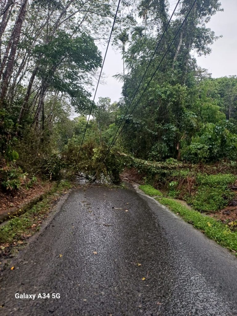 d2-2-768x1024 Cuacana Ekstrem, Beberapa Kecamatan di OKU Terdampak Pemadaman